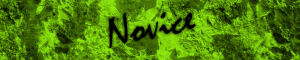Novice